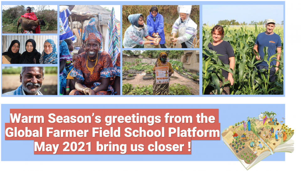 Season's greetings from the Global Farmer Field School platform!